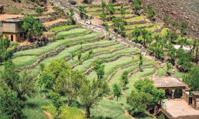 خیبر پختونخوا حکومت کی ہدایت پر ایبٹ آباد میں خانہ کاشت اراضی اور رقبہ جات  کو  خانہ ملکیت میں منتقل کرنے پر کام تیزی سے جاری