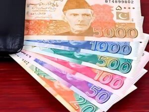 حکومت نے سود سے پاک مالیاتی نظام کے نفاذ کی جامع حکمت عملی جاری کردی
